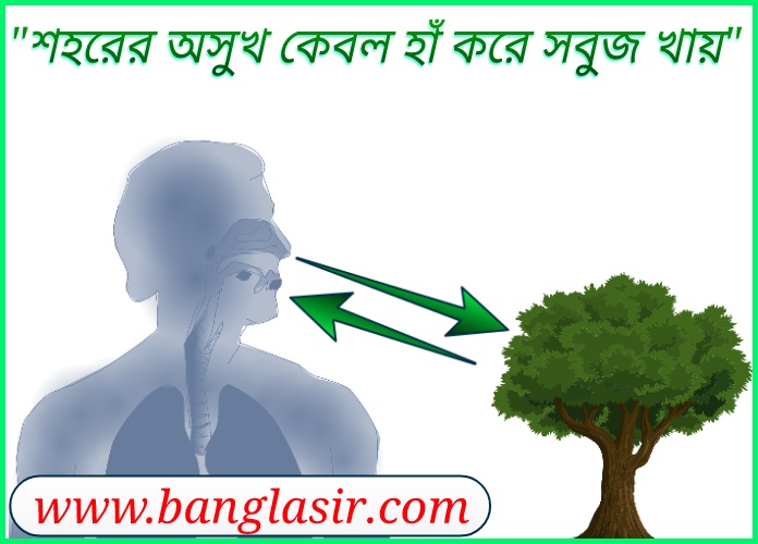 আমি দেখি 