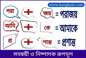 রূপমূলের প্রকারভেদ 