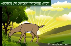 শিকার কবিতা 